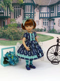 Bird Cage - dress, tights & shoes for Little Darling Doll or other 33cm doll