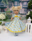 Lil' Texas Rose - dress, tights & shoes for Little Darling Doll or other 33cm BJD