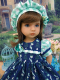 Pretty Bird - dress, hat, socks & shoes for Little Darling Doll or 33cm BJD