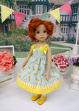 Texas Rose - dress, tights & shoes for Little Darling Doll or 33cm BJD