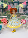 Texas Rose - dress, tights & shoes for Little Darling Doll or 33cm BJD
