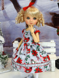 Winter Birds - dress, tights & shoes for Little Darling Doll or 33cm BJD